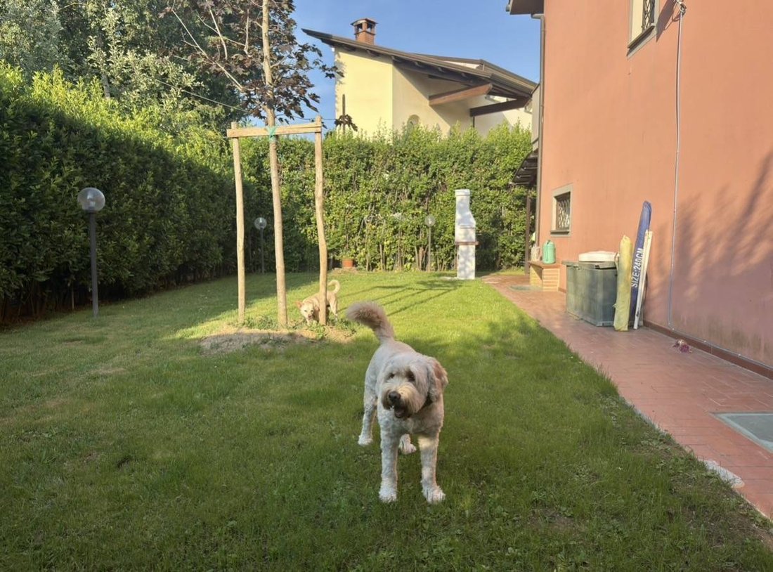 House in Antraccoli-Picciorana-Tempagnano, Lucca, Italy 5 - 17634339