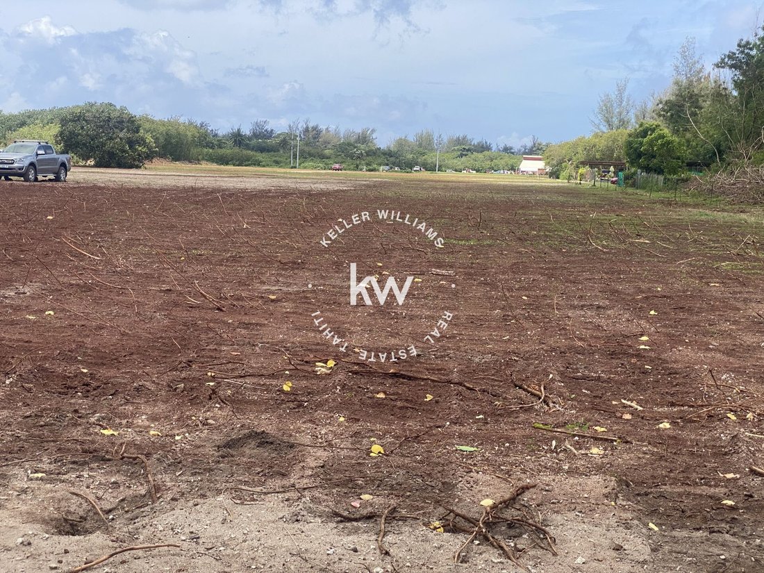 Land in Huahine, Leeward Islands, French Polynesia 2 - 16709546
