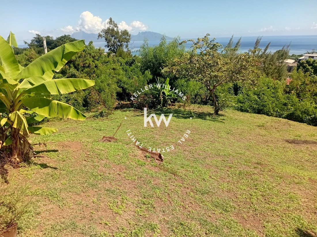 Land in Faa'a, Inseln über dem Winde, Französisch-Polynesien 1 - 17912529
