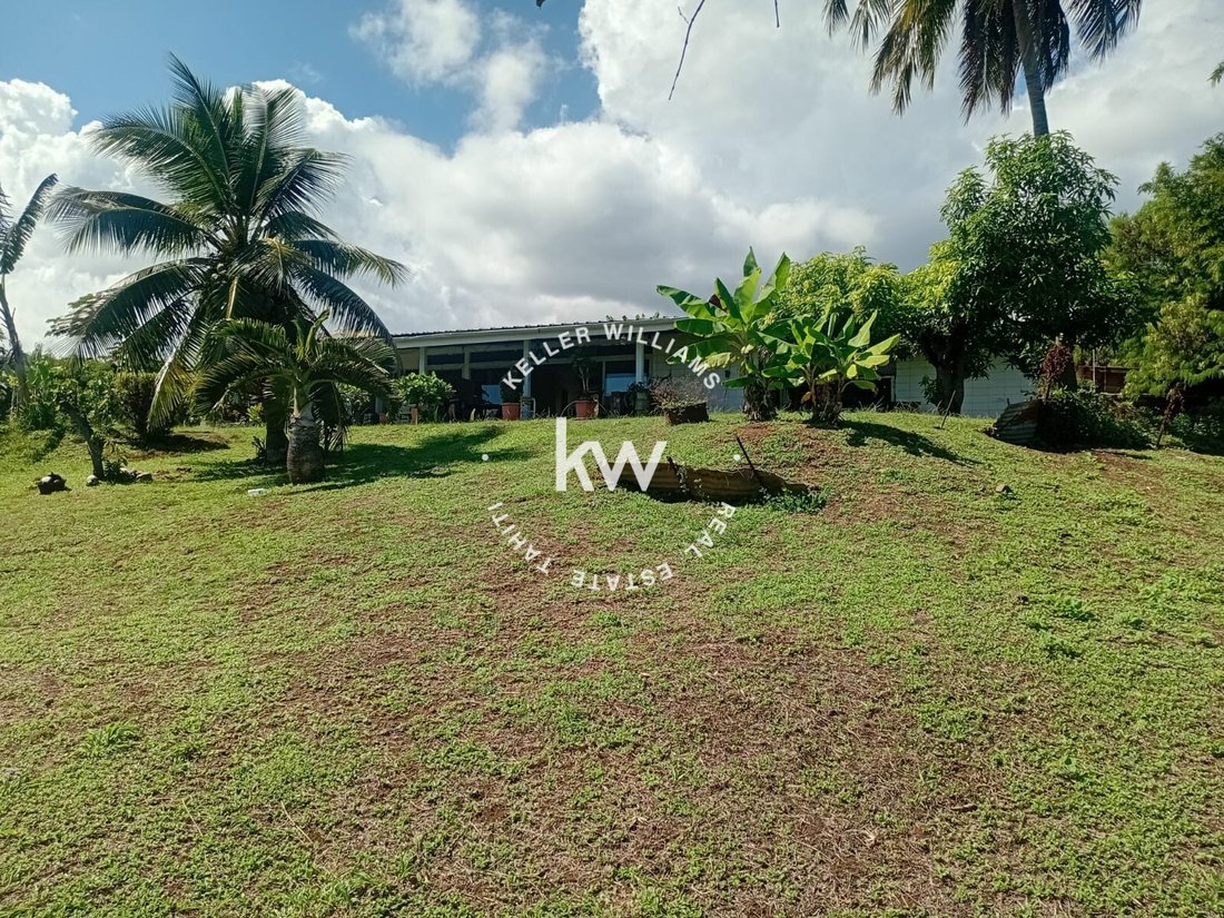 Land in Faa'a, Inseln über dem Winde, Französisch-Polynesien 3 - 17912529