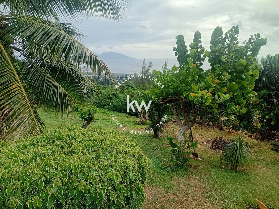Land in Faa'a, Inseln über dem Winde, Französisch-Polynesien 5 - 17912529