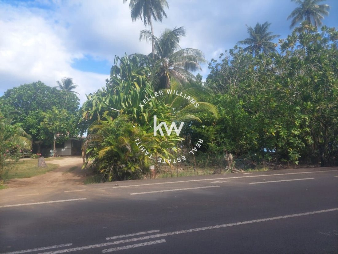 Land in Moorea-Maiao, Windward Islands, French Polynesia 3 - 16769345