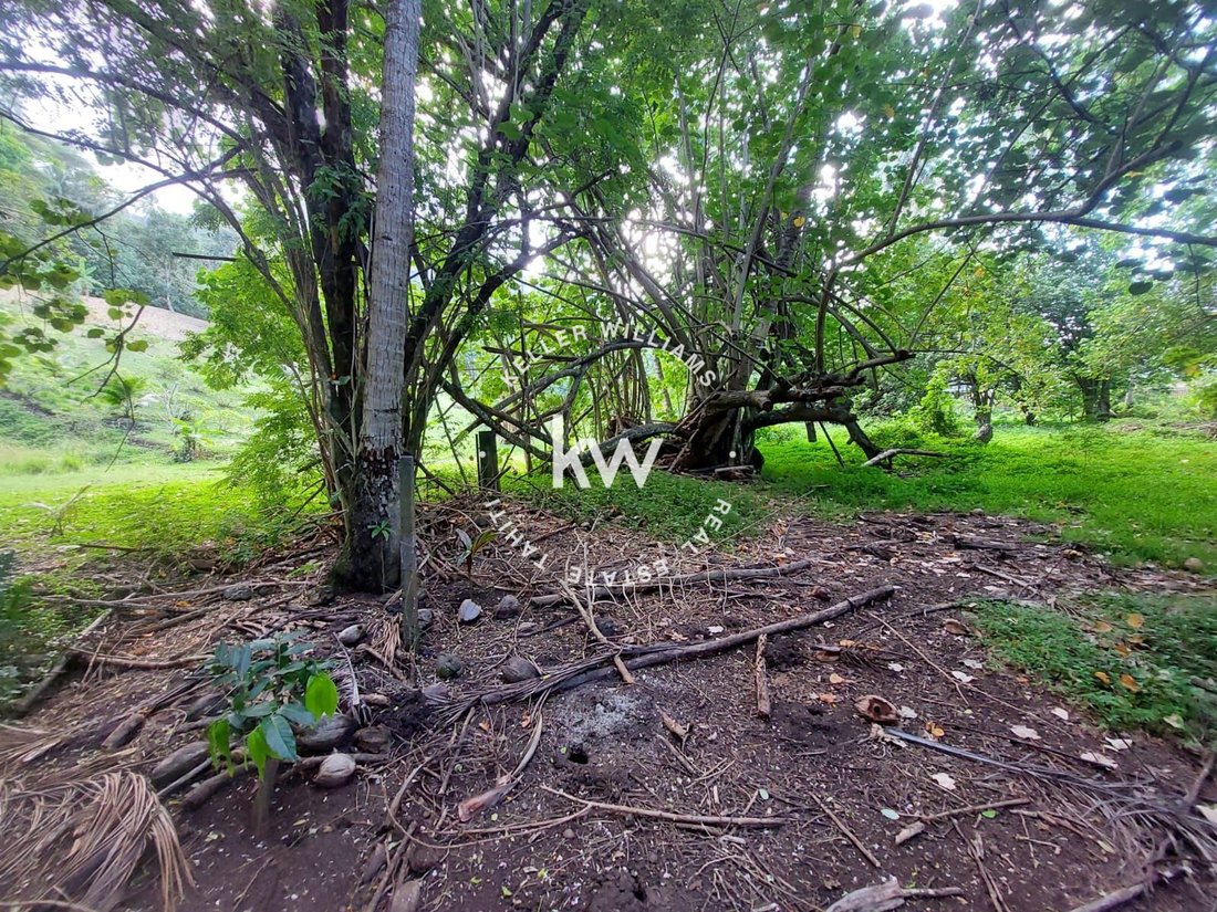 Land in Moorea-Maiao, Windward Islands, French Polynesia 4 - 17328636