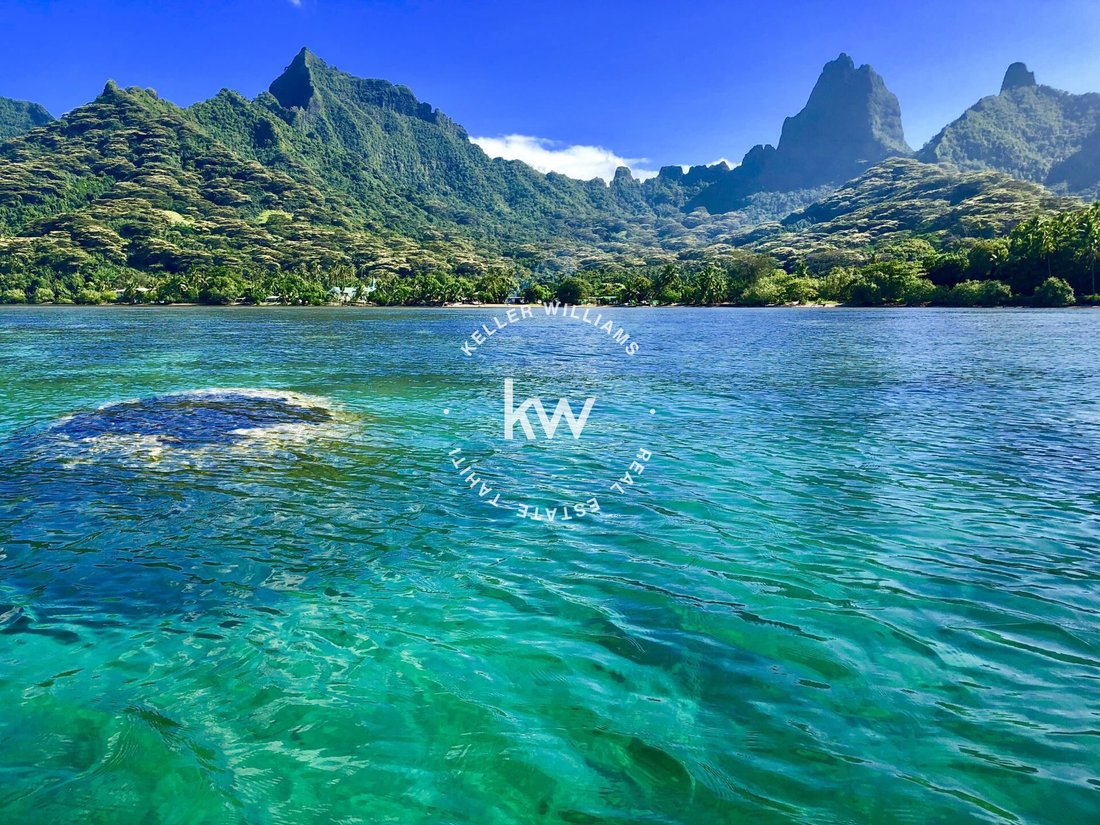 House in Moorea-Maiao, Windward Islands, French Polynesia 5 - 17554289