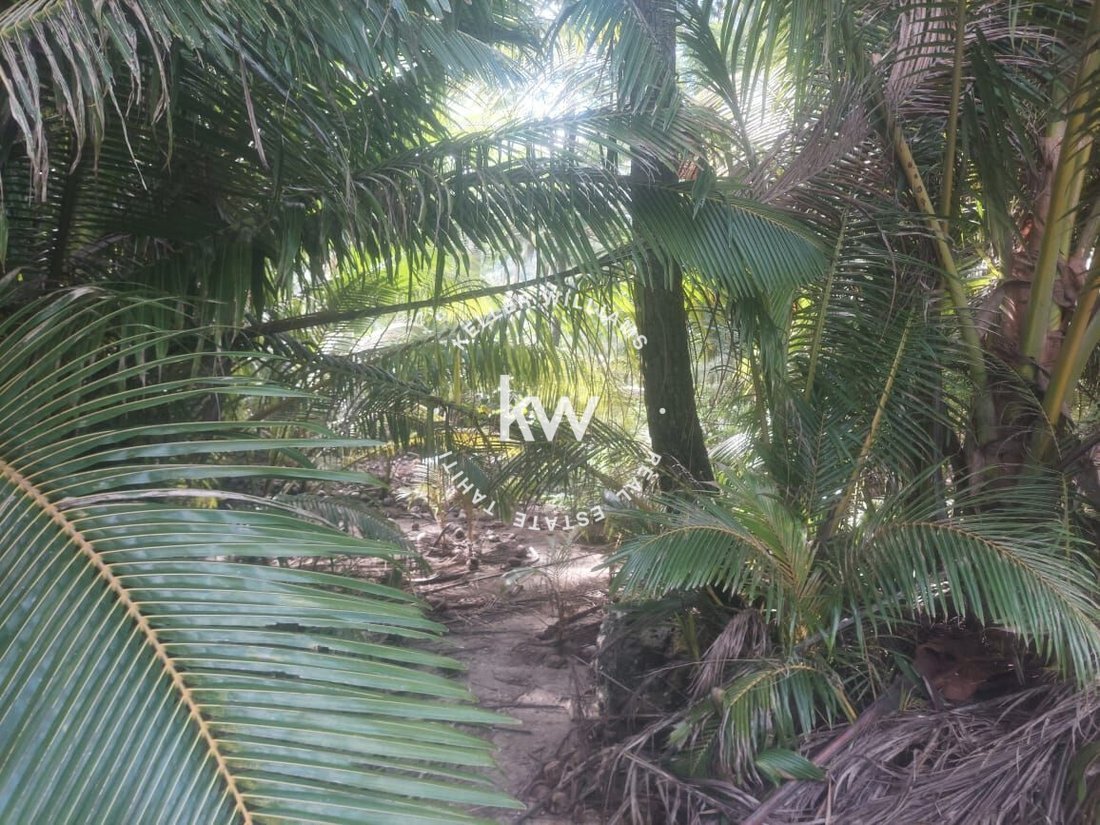 Land in Moorea-Maiao, Windward Islands, French Polynesia 5 - 16769345