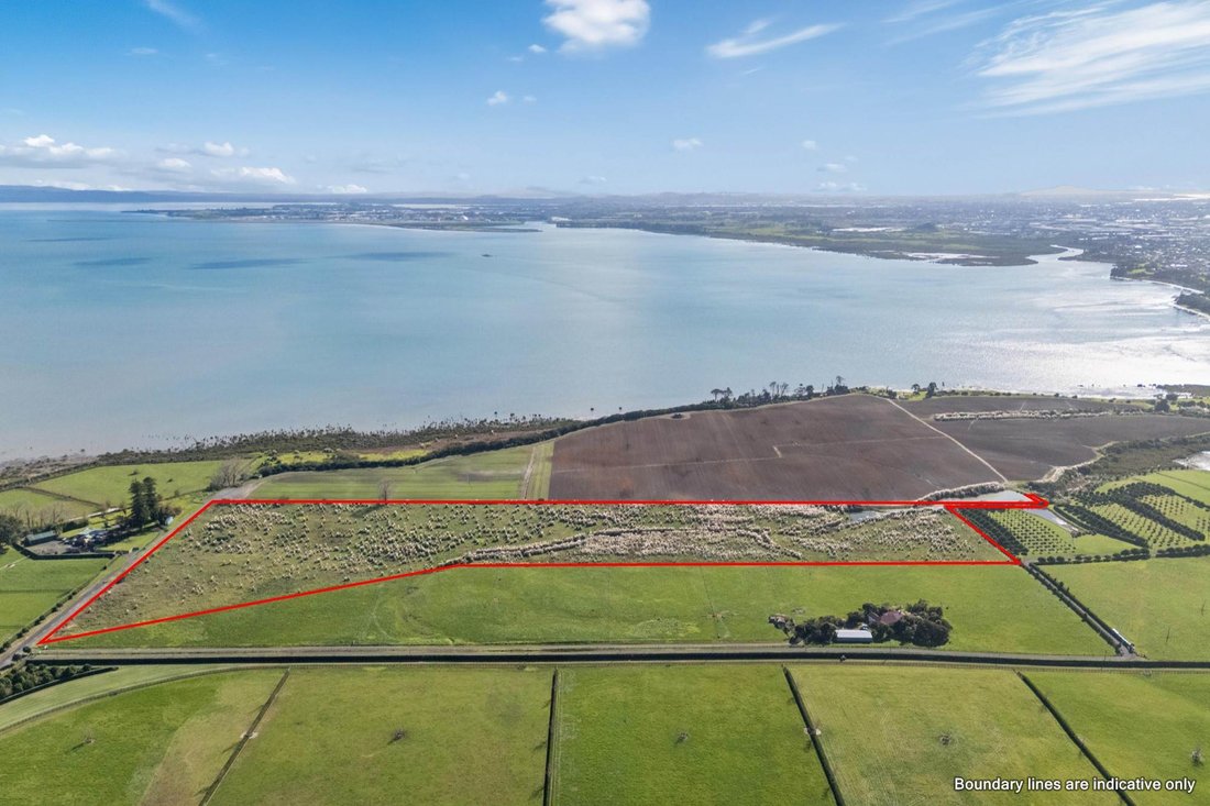 House in Auckland, Auckland, New Zealand 2 - 18267222