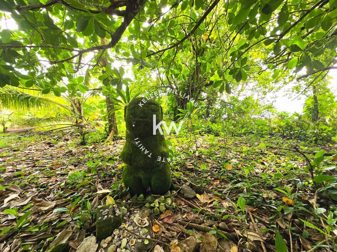 Land in Taiarapu-Est, Windward Islands, French Polynesia 4 - 17783635