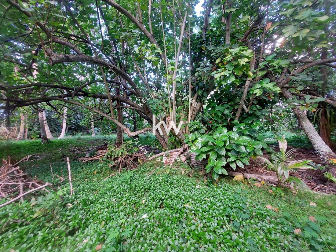 Land in Moorea-Maiao, Windward Islands, French Polynesia 3 - 17328636