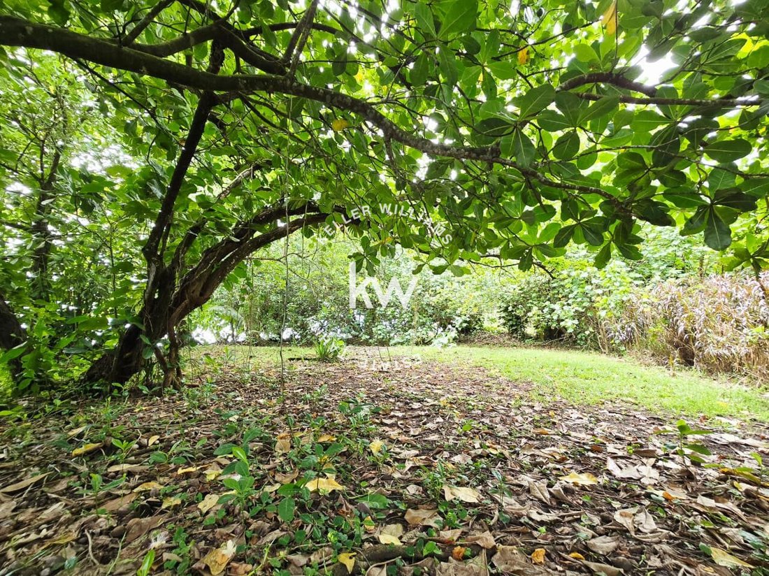 Land in Taiarapu-Est, Windward Islands, French Polynesia 2 - 17783635