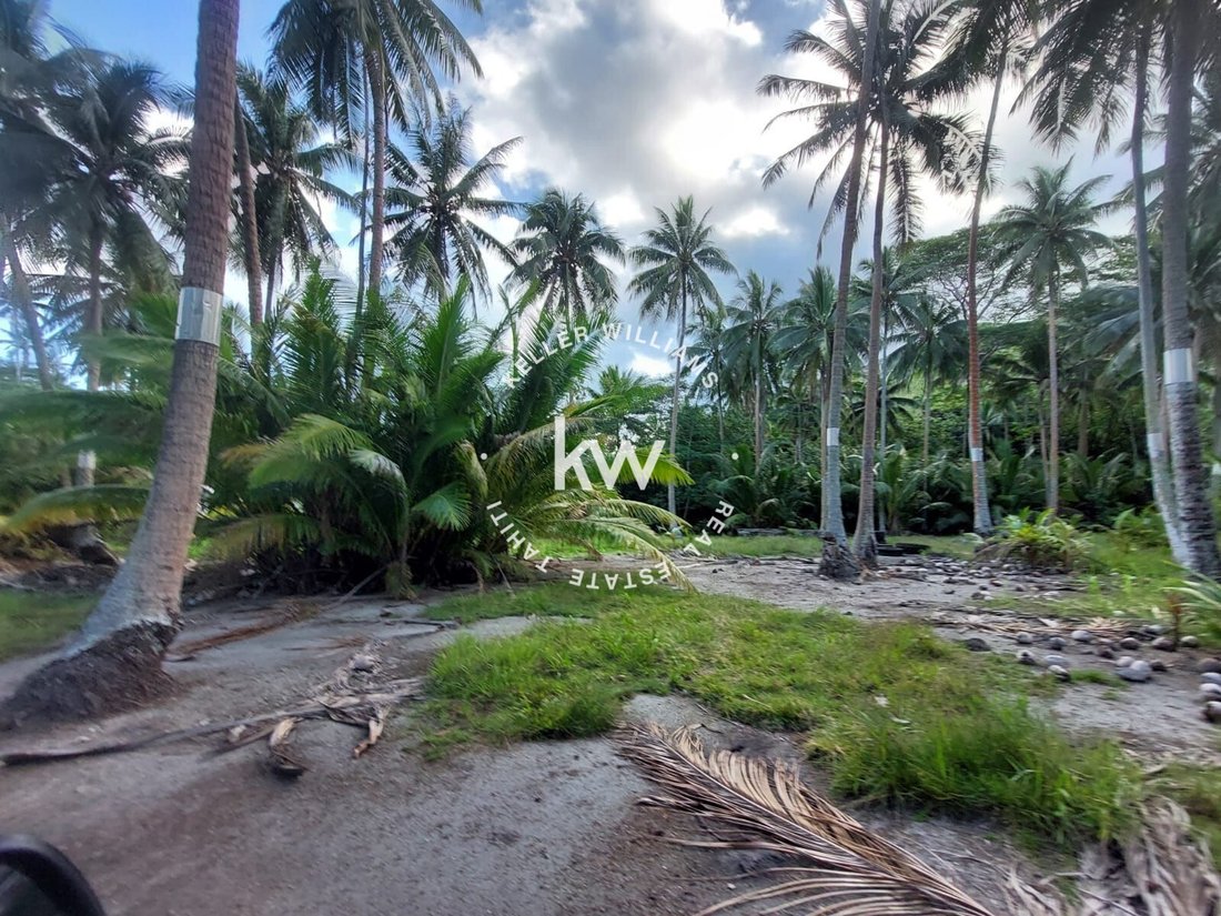 Land in Moorea-Maiao, Windward Islands, French Polynesia 2 - 17328636
