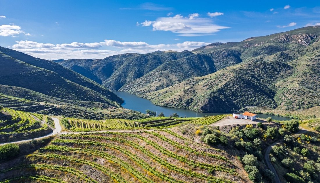 Haus in Vila Nova de Foz Côa, Distrikt Guarda, Portugal 5 - 18267121