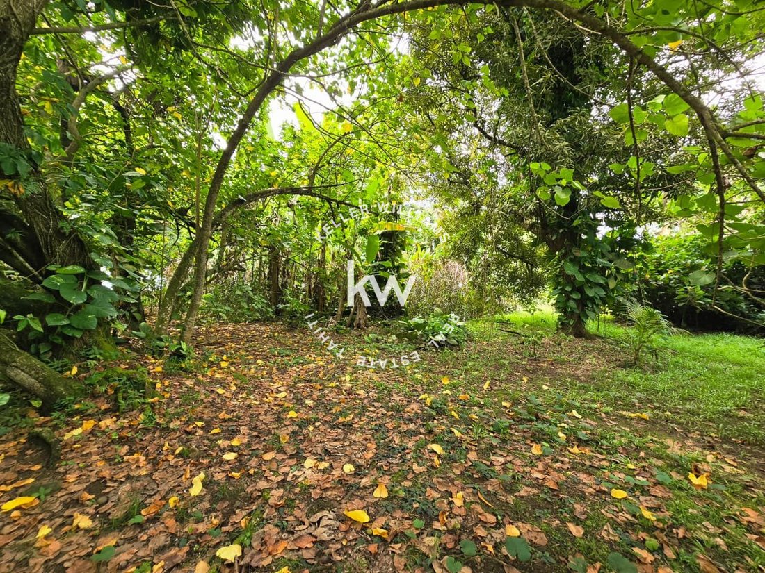 Land in Taiarapu-Est, Windward Islands, French Polynesia 3 - 17783635