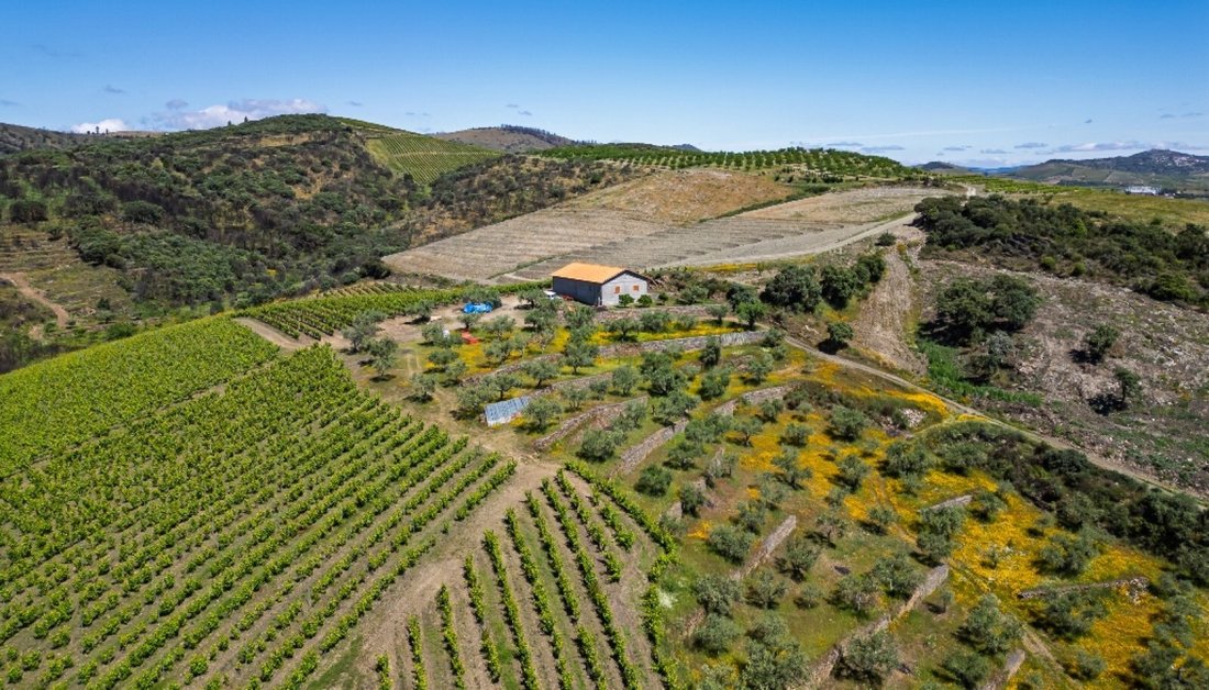 House in Cedovim, Guarda District, Portugal 2 - 18267119
