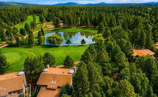 House in Pinetop, Arizona, United States 1