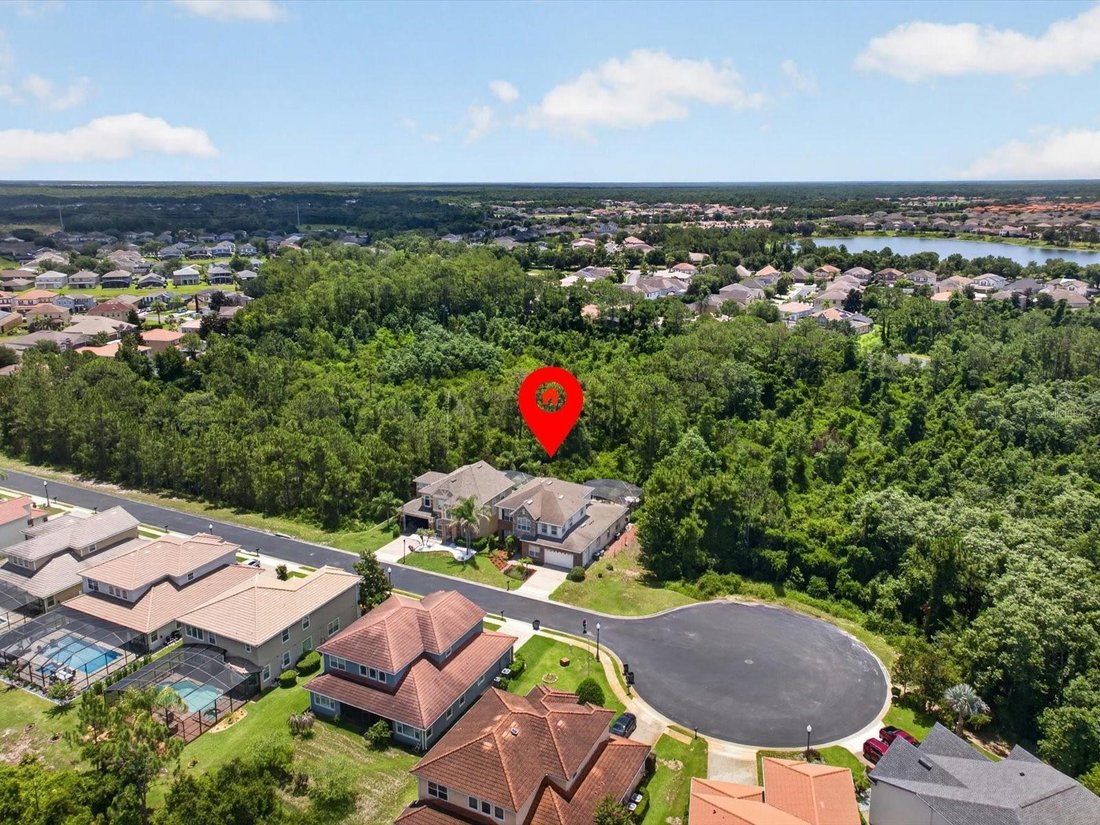 House in Davenport, Florida, United States 5 - 18267388