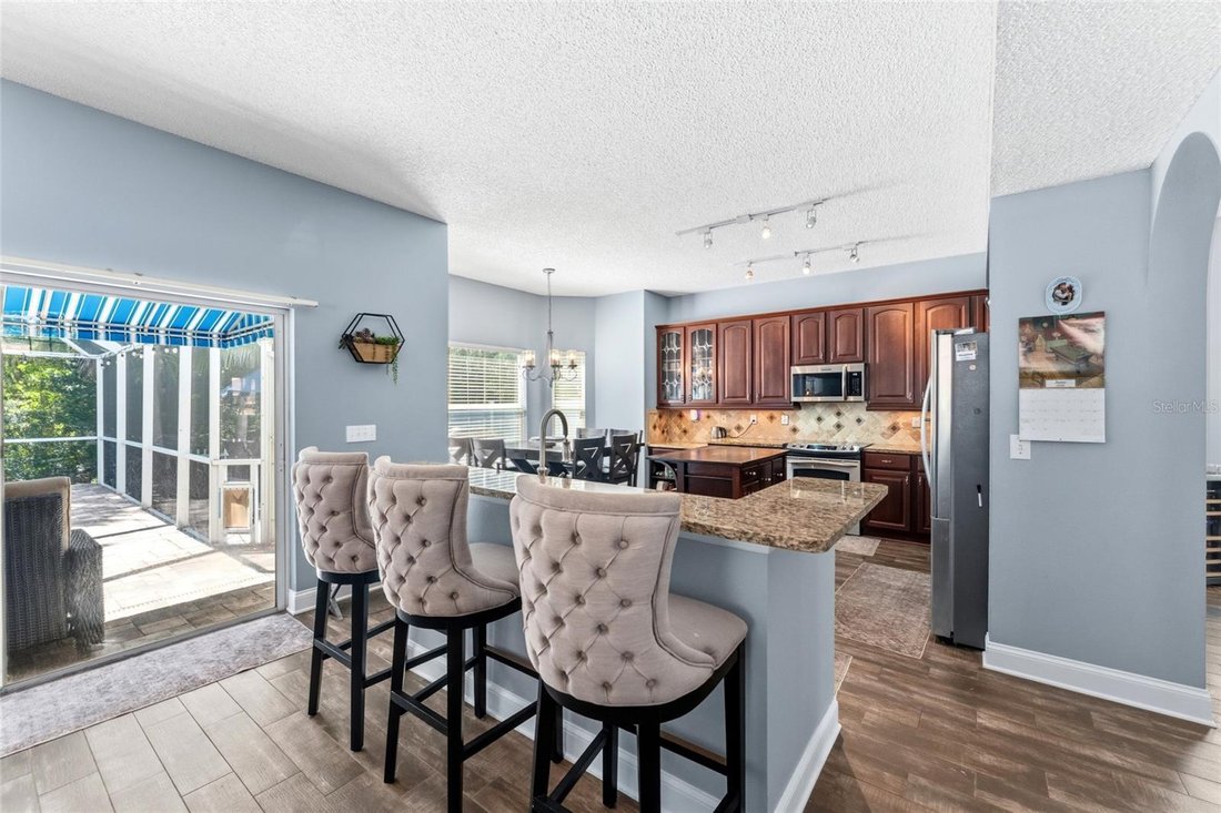 House in Odessa, Florida, United States 5 - 18267385
