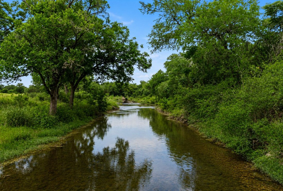 Farm Ranch in Austin, Texas, United States 3 - 18267693