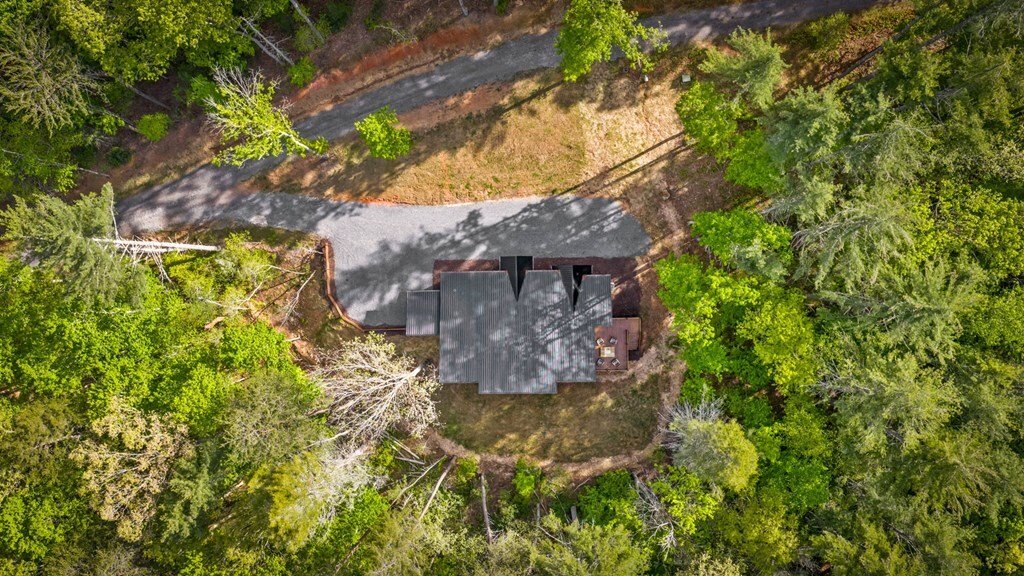 House in Ellijay, Georgia, United States 5 - 18268748