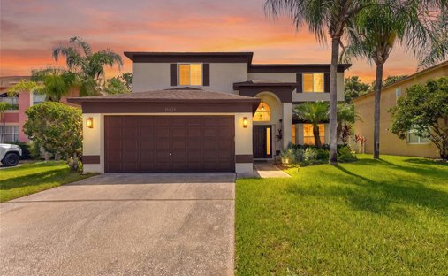 House in Odessa, Florida, United States 1