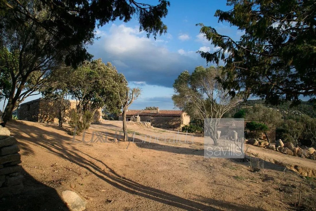 Terrain à San Pantaleo, Olbia, Italie 2 - 18261809