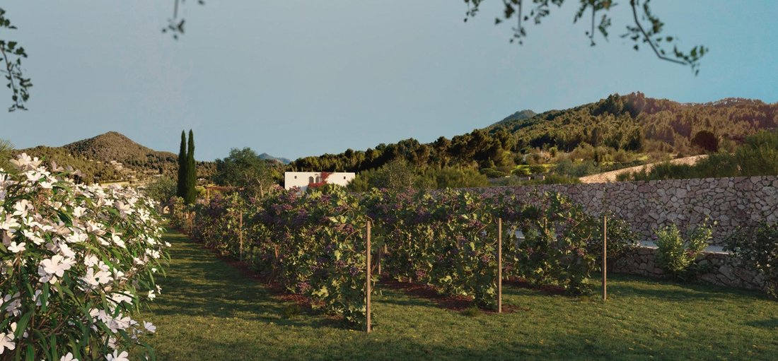 House in Santa Eularia des Riu, Balearic Islands, Spain 4 - 18268758