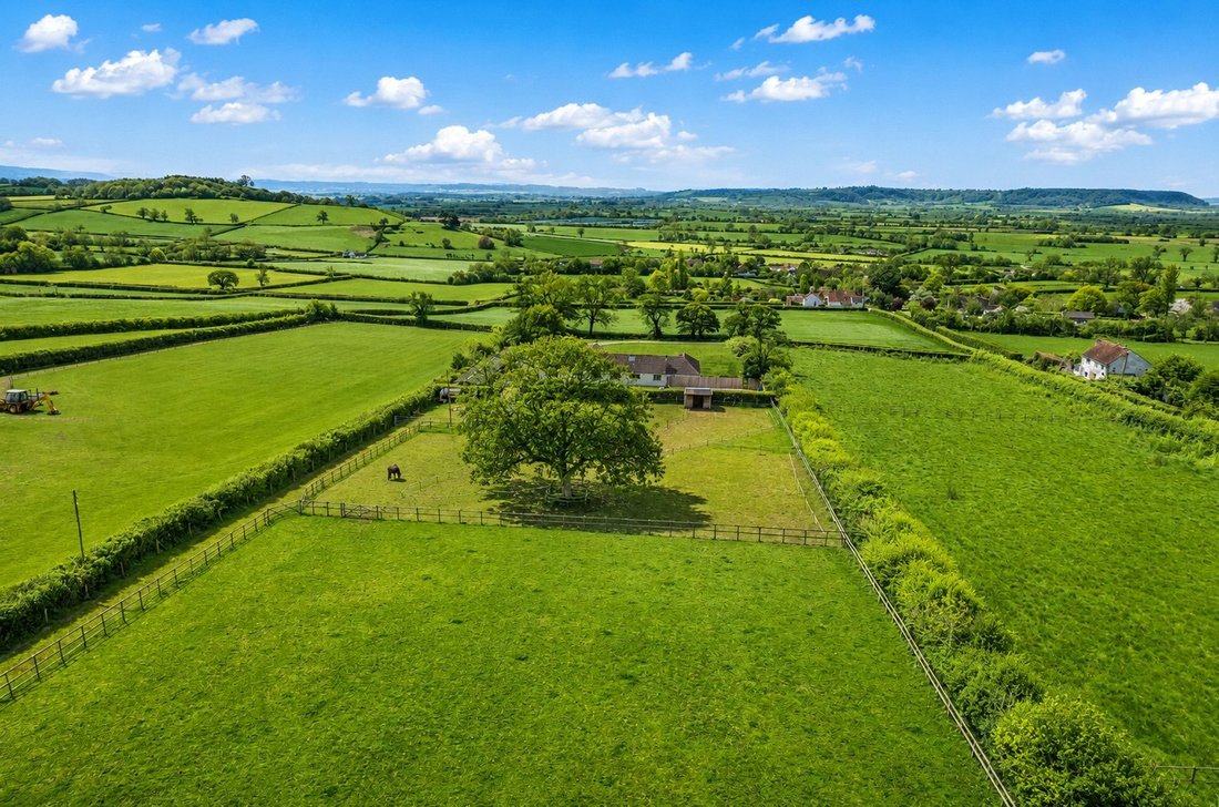 Bungalow in Pedwell, England 2 - 17701584