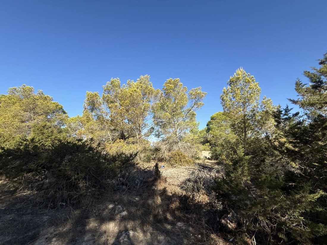 Land in Sant Josep de sa Talaia, Balearic Islands, Spain 5 - 18268538