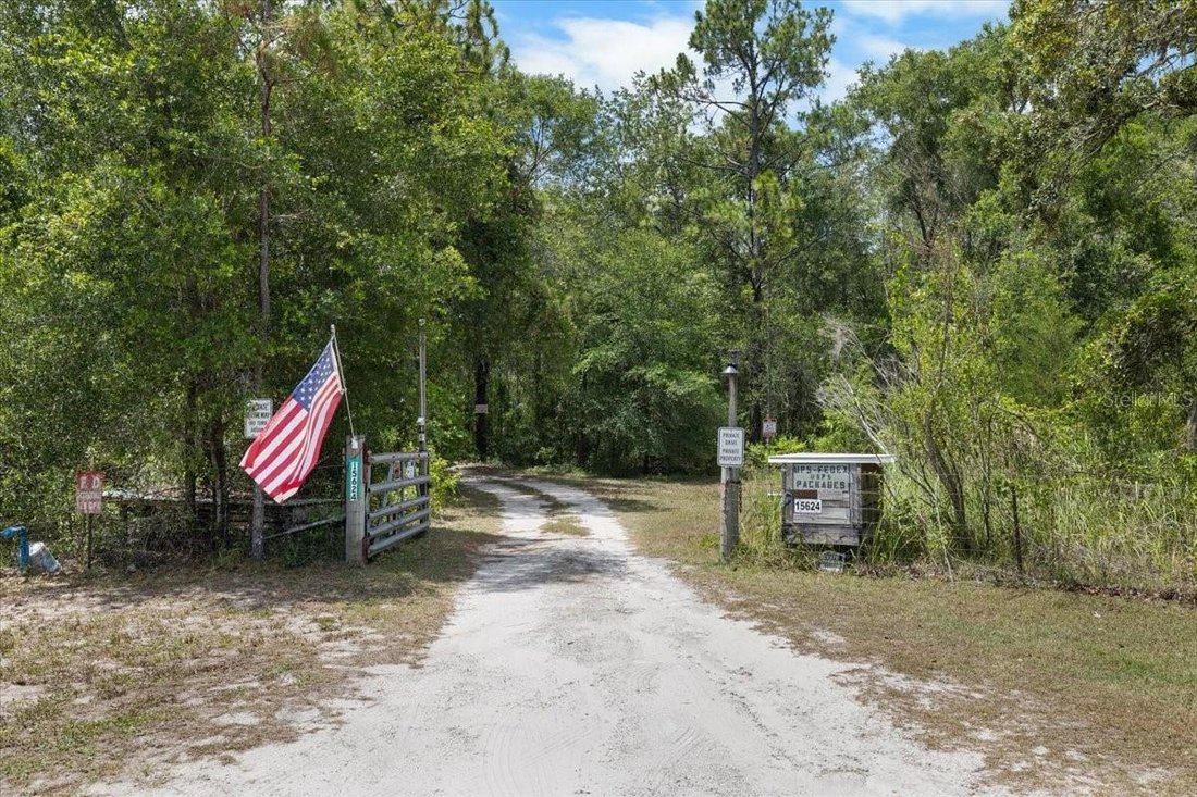 Spring Hill, Florida, United States 3 - 18267376