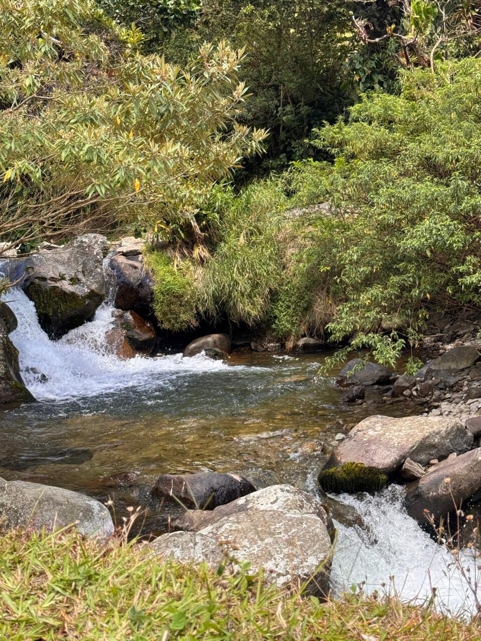 Land in Los Naranjos, Chiriquí Province, Panama 1 - 18268784