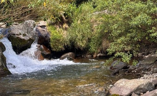 Terreno en Los Naranjos, Provincia de Chiriquí, Panamá 1