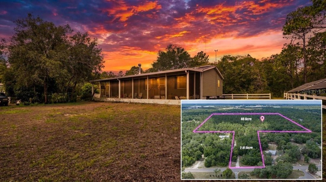 Spring Hill, Florida, United States 2 - 18267376