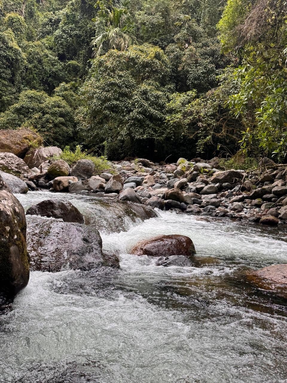 Land in Los Naranjos, Chiriquí Province, Panama 2 - 18268784