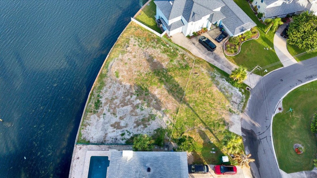 House in Palm Harbor, Florida, United States 5 - 18267675