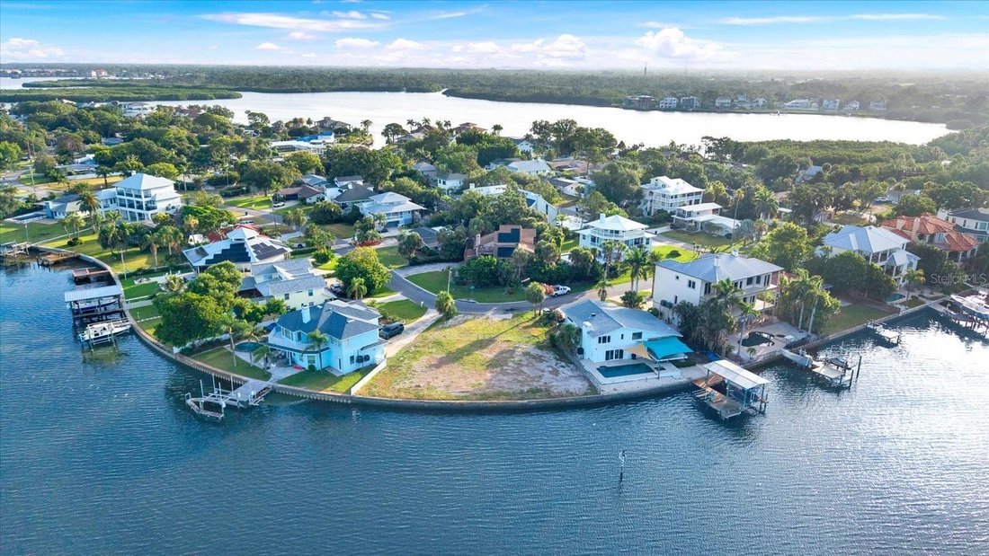 Land in Palm Harbor, Florida, United States 2 - 18267665