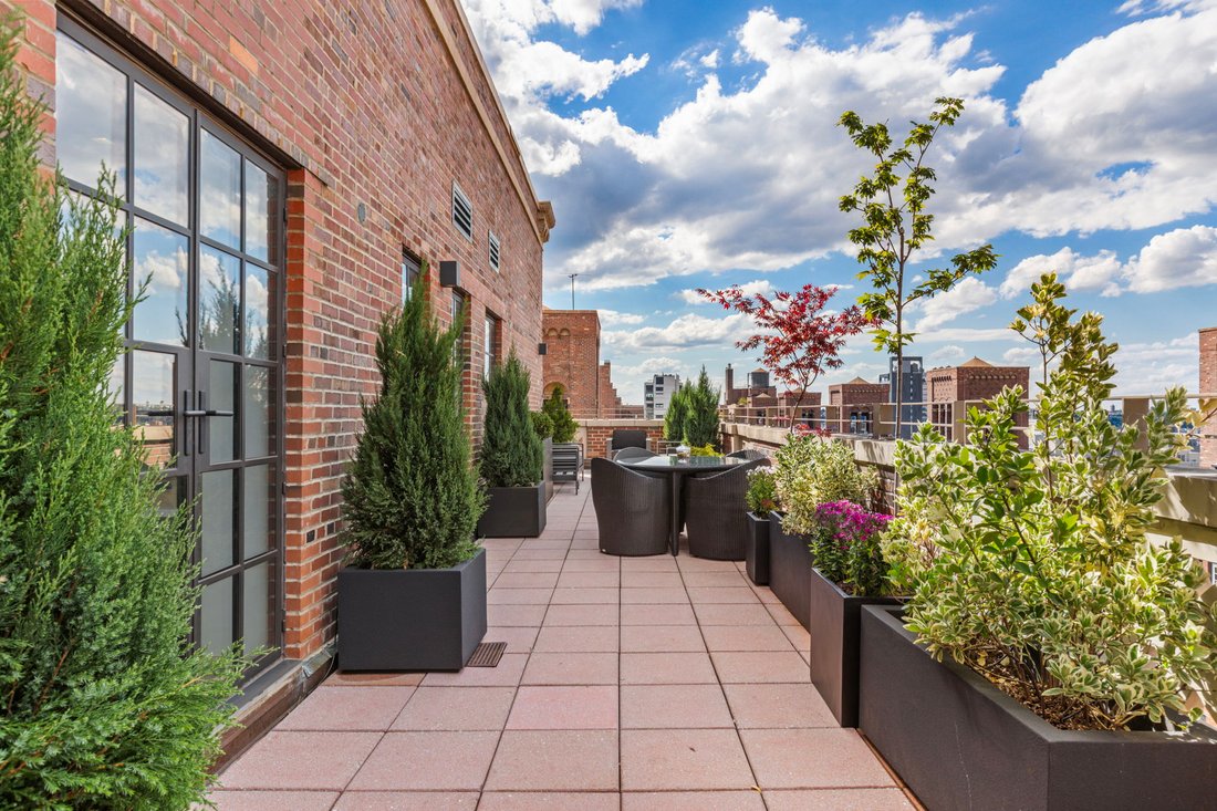 Co Op in New York, New York, United States 1 - 18267817
