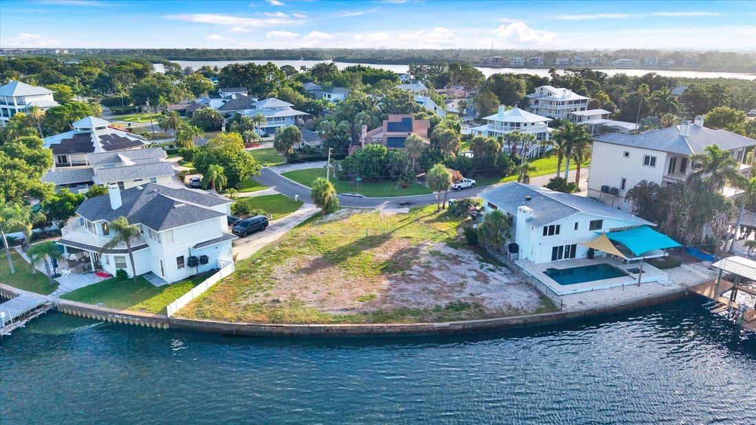 House in Palm Harbor, Florida, United States 3 - 18267675