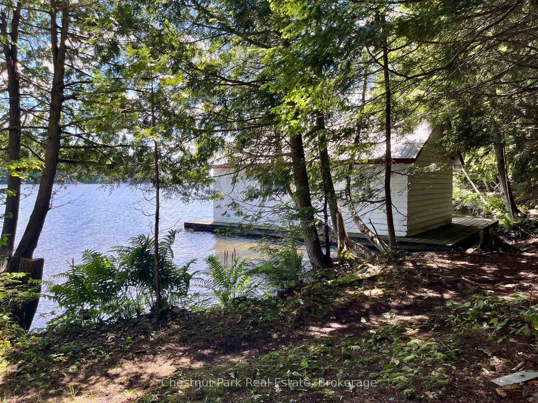 House in Muskoka Lakes, Ontario, Canada 2 - 18258467