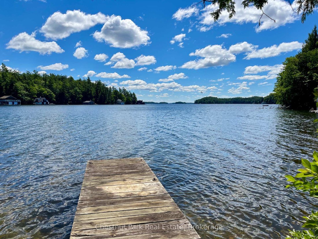House in Muskoka Lakes, Ontario, Canada 5 - 18258467
