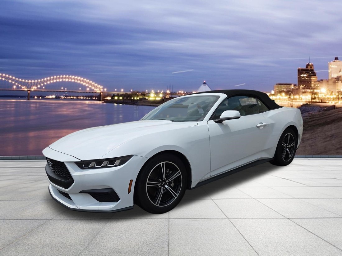 Cabriolet in Bartlett, TN, United States 1 - 18269092