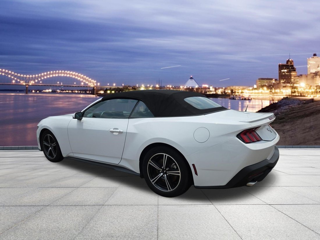 Cabriolet in Bartlett, TN, United States 3 - 18269092