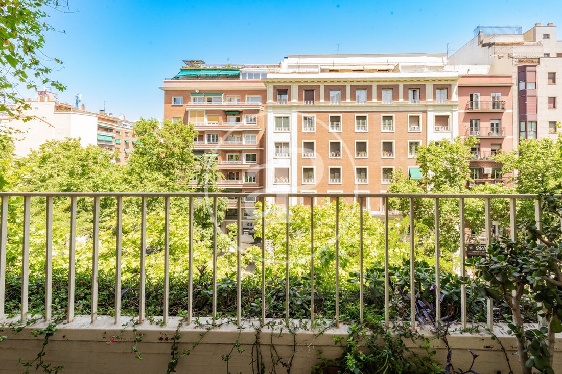 Apartment in Chamberi, Madrid, Spain 5 - 18142730