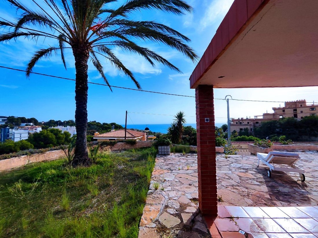 Chalet in el Campello, Valencian Community, Spain 5 - 17922031