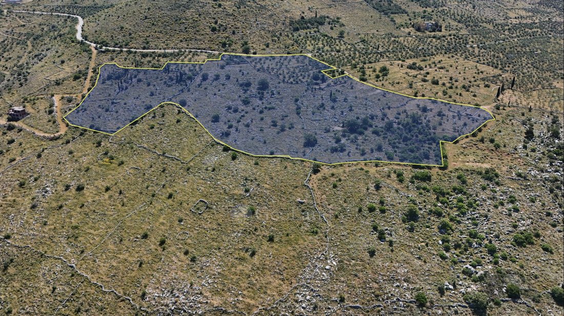 Land in Lefktro, Peloponnese, Western Greece and the Ionian, Greece 2 - 18269328