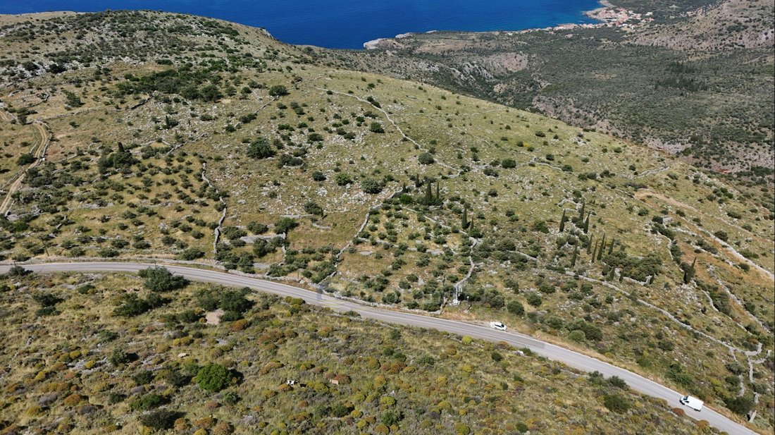 Land in Lefktro, Peloponnese, Western Greece and the Ionian, Greece 4 - 18269328