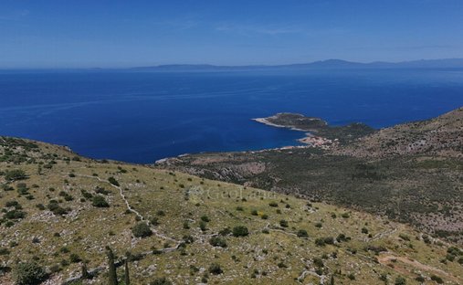 Land in Lefktro, Peloponnese, Western Greece and the Ionian, Griechenland 1