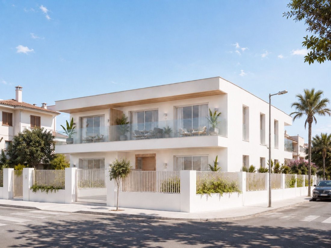 Land in Palma, Balearic Islands, Spain 2 - 18269569
