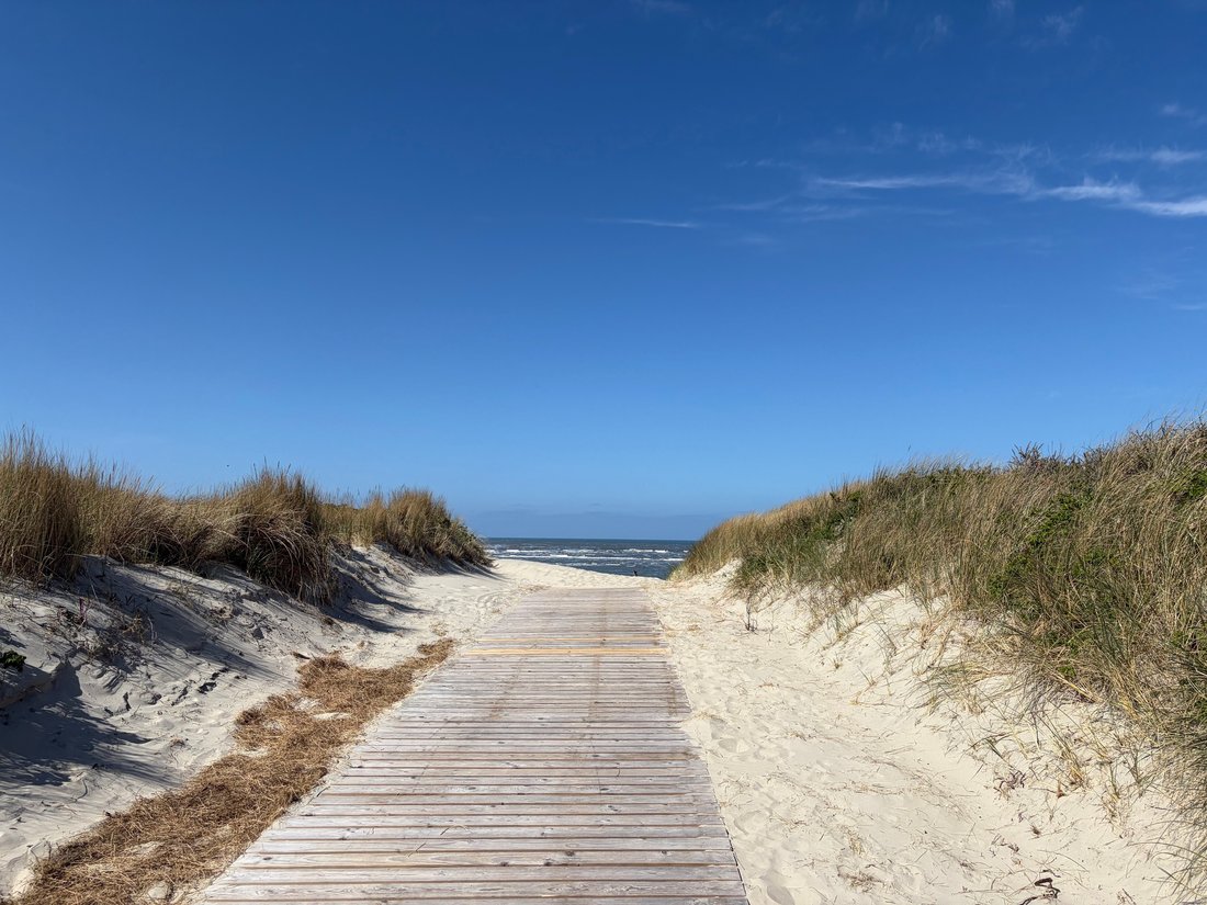 Langeoog, Lower Saxony, Germany 3 - 18269927