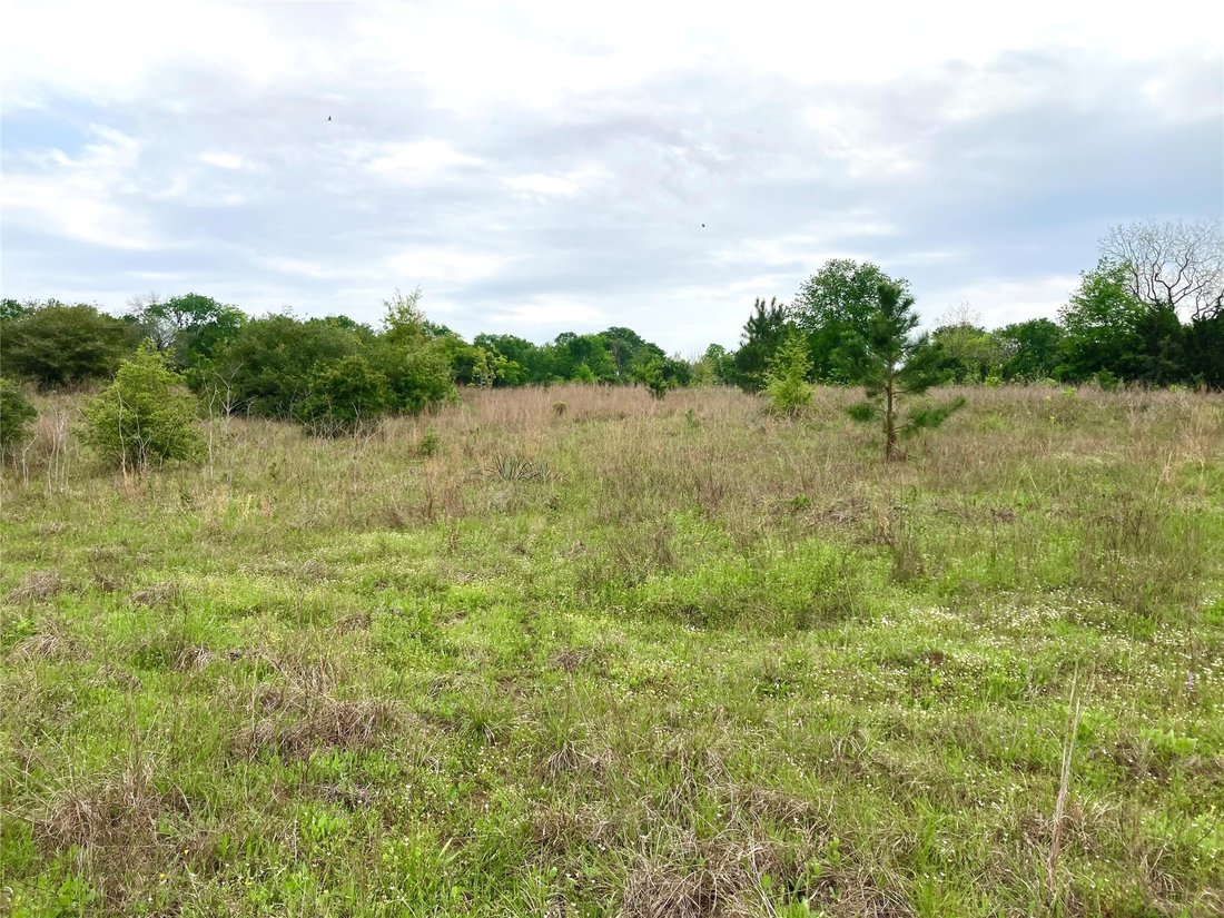 Land in Louise, Texas, United States 3 - 18269993