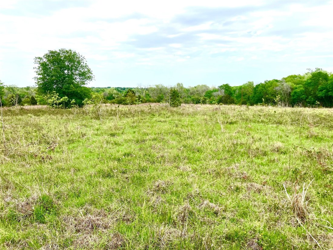 Land in Louise, Texas, United States 2 - 18269993