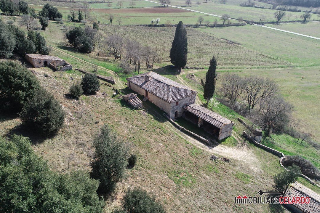 Farm Ranch in Casole d'Elsa, Tuscany, Italy 5 - 18273148